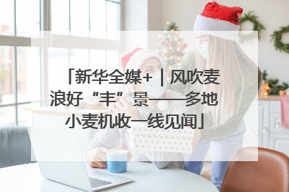新华全媒+｜风吹麦浪好“丰”景——多地小麦机收一线见闻