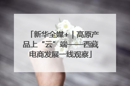 新华全媒+｜高原产品上“云”端——西藏电商发展一线观察