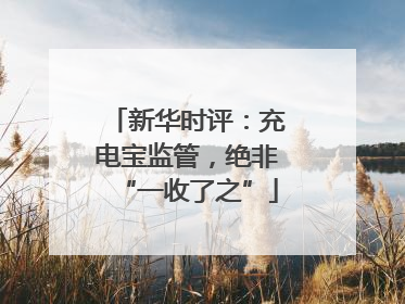 新华时评：充电宝监管，绝非“一收了之”