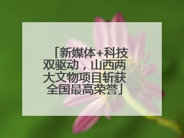 新媒体+科技双驱动，山西两大文物项目斩获全国最高荣誉