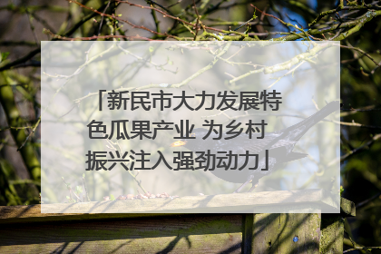新民市大力发展特色瓜果产业 为乡村振兴注入强劲动力