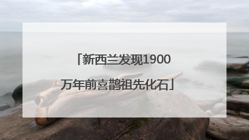 新西兰发现1900万年前喜鹊祖先化石