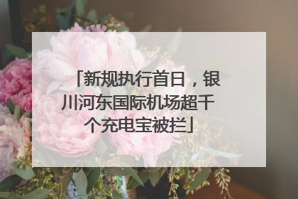 新规执行首日，银川河东国际机场超千个充电宝被拦