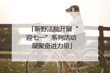 新野法院开展“迎七一”系列活动 凝聚奋进力量