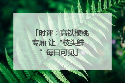 时评：高铁樱桃专厢 让“枝头鲜”每日可见