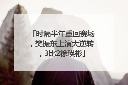 时隔半年重回赛场，樊振东上演大逆转，3比2徐瑛彬