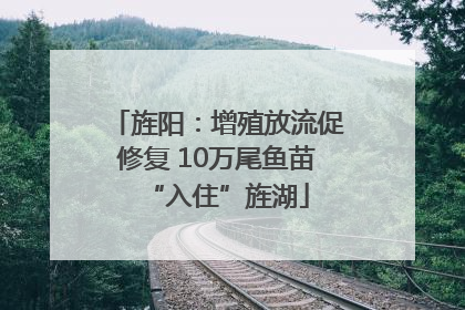 旌阳：增殖放流促修复 10万尾鱼苗“入住”旌湖