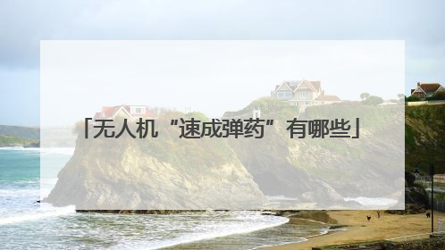 无人机“速成弹药”有哪些