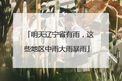 明天辽宁省有雨，这些地区中雨大雨暴雨