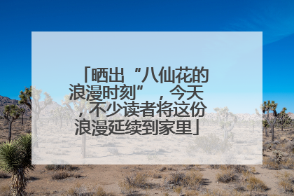 晒出“八仙花的浪漫时刻”，今天，不少读者将这份浪漫延续到家里