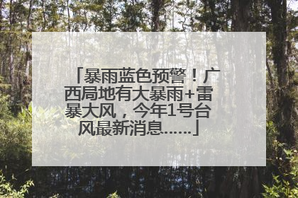 暴雨蓝色预警！广西局地有大暴雨+雷暴大风，今年1号台风最新消息……