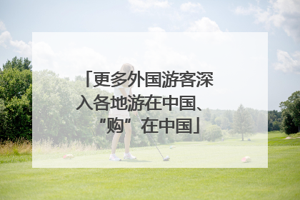 更多外国游客深入各地游在中国、“购”在中国