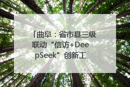 曲阜：省市县三级联动“信访+DeepSeek”创新工作新闻发布会举行