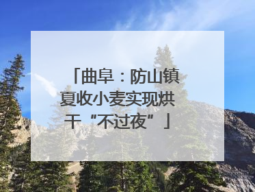 曲阜：防山镇夏收小麦实现烘干“不过夜”