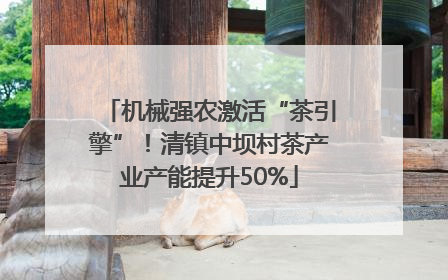 机械强农激活“茶引擎”！清镇中坝村茶产业产能提升50%
