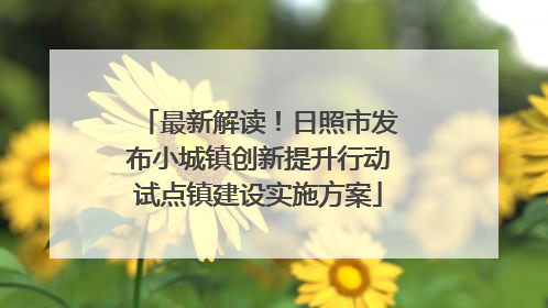 最新解读！日照市发布小城镇创新提升行动试点镇建设实施方案
