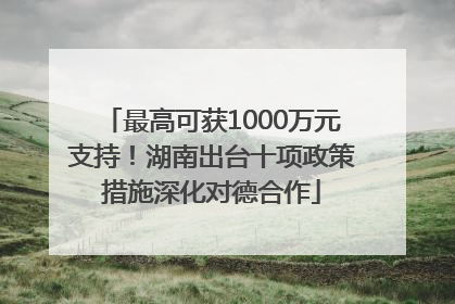 最高可获1000万元支持！湖南出台十项政策措施深化对德合作