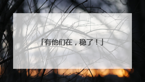 有他们在，稳了！