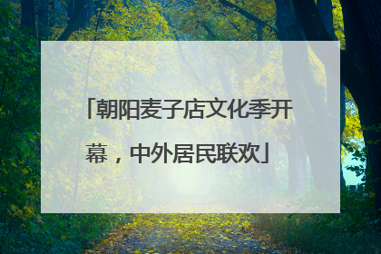 朝阳麦子店文化季开幕，中外居民联欢