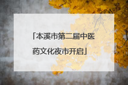 本溪市第二届中医药文化夜市开启
