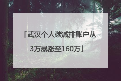 武汉个人碳减排账户从3万暴涨至160万