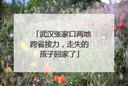 武汉张家口两地跨省接力，走失的孩子回家了