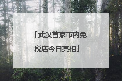 武汉首家市内免税店今日亮相