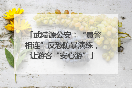 武陵源公安：“景警相连”反恐防暴演练，让游客“安心游”
