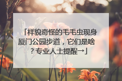 样貌奇怪的毛毛虫现身厦门公园步道，它们是啥？专业人士提醒→