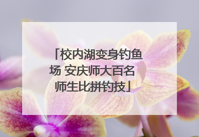 校内湖变身钓鱼场 安庆师大百名师生比拼钓技