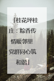 桂花坪桂庄：粽香传情暖邻里 党群同心筑和谐