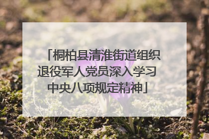 桐柏县清淮街道组织退役军人党员深入学习中央八项规定精神