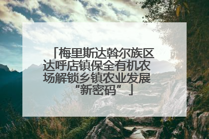 梅里斯达斡尔族区达呼店镇保全有机农场解锁乡镇农业发展“新密码”