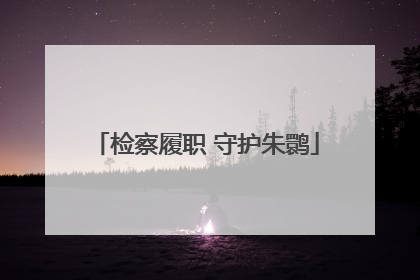 检察履职 守护朱鹮