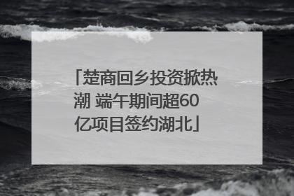 楚商回乡投资掀热潮 端午期间超60亿项目签约湖北