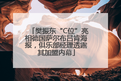 樊振东“C位”亮相德国萨尔布吕肯海报，俱乐部经理透露其加盟内幕