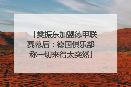 樊振东加盟德甲联赛幕后：德国俱乐部称一切来得太突然
