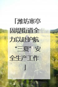 潍坊寒亭固堤街道全力以赴护航“三夏”安全生产工作