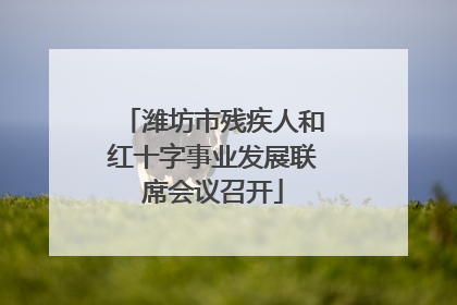 潍坊市残疾人和红十字事业发展联席会议召开