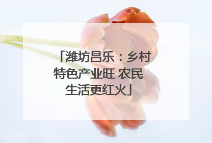 潍坊昌乐：乡村特色产业旺 农民生活更红火
