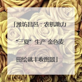 潍坊昌邑：农机助力“三夏”生产 金色麦田绘就丰收图景