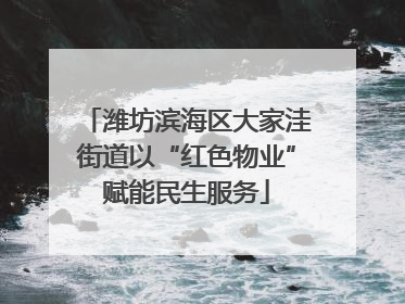 潍坊滨海区大家洼街道以“红色物业”赋能民生服务