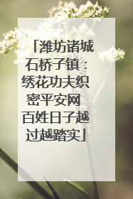 潍坊诸城石桥子镇：绣花功夫织密平安网 百姓日子越过越踏实