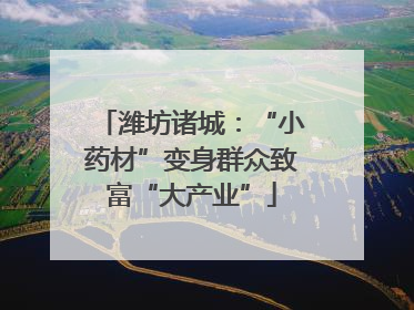 潍坊诸城：“小药材”变身群众致富“大产业”