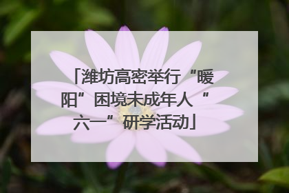 潍坊高密举行“暖阳”困境未成年人“六一”研学活动