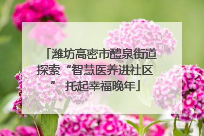 潍坊高密市醴泉街道探索“智慧医养进社区” 托起幸福晚年