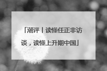 潮评丨读懂任正非访谈，读懂上升期中国