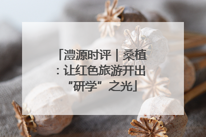 澧源时评｜桑植：让红色旅游开出“研学”之光