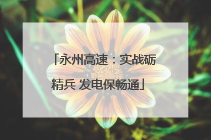 永州高速：实战砺精兵 发电保畅通