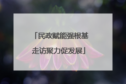 民政赋能强根基 走访聚力促发展